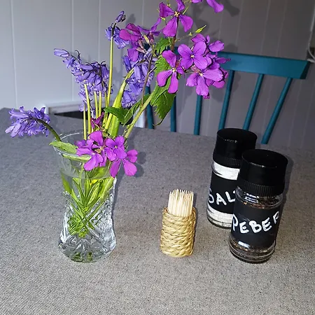 Hammerknuden Apartahotel Allinge-Sandvig