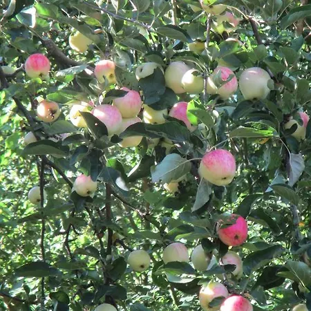 Hammerknuden Apartahotel 3*