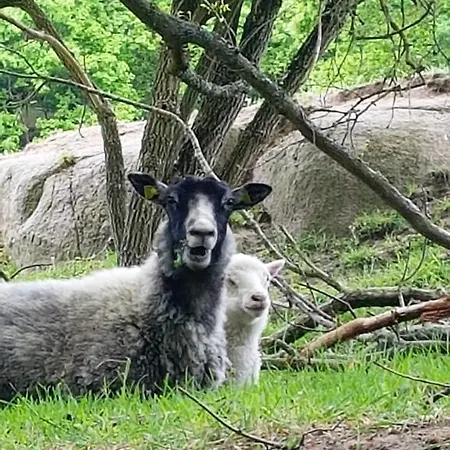 Appart hôtel Hammerknuden Allinge-Sandvig