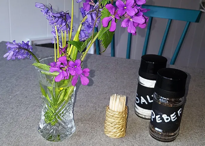 Hammerknuden Aparthotel Allinge-Sandvig