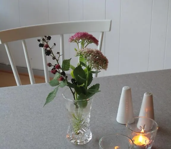 Hammerknuden Lägenhetshotell Allinge-Sandvig